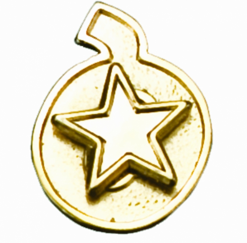 Pin Personalizado em Metal Santa Catarina - Pin Boton Personalizado